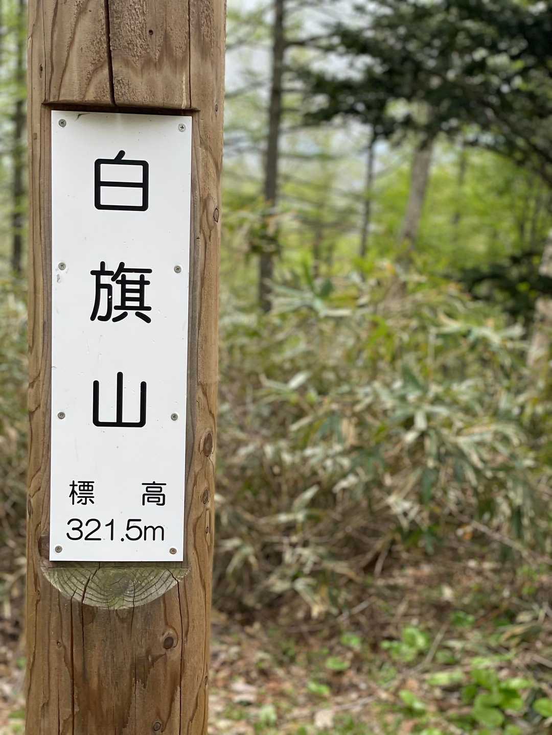 ピークはこちらのみ