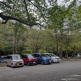 おまたせ〜🚘️