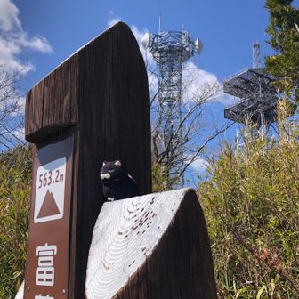 ゴンちゃん記念撮影