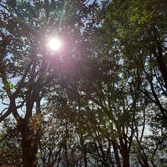 まったくと言っていいほど道案内の表示はないので感覚のまま行くと私のような目にあいます。