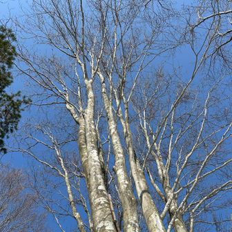 空が青でした🟦
サングラスしてると
なかなか気が付かず😅