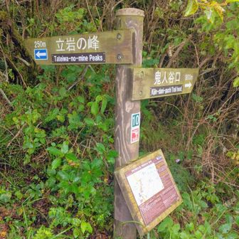 鳩穴分かれの分岐。ここからしばらく急登