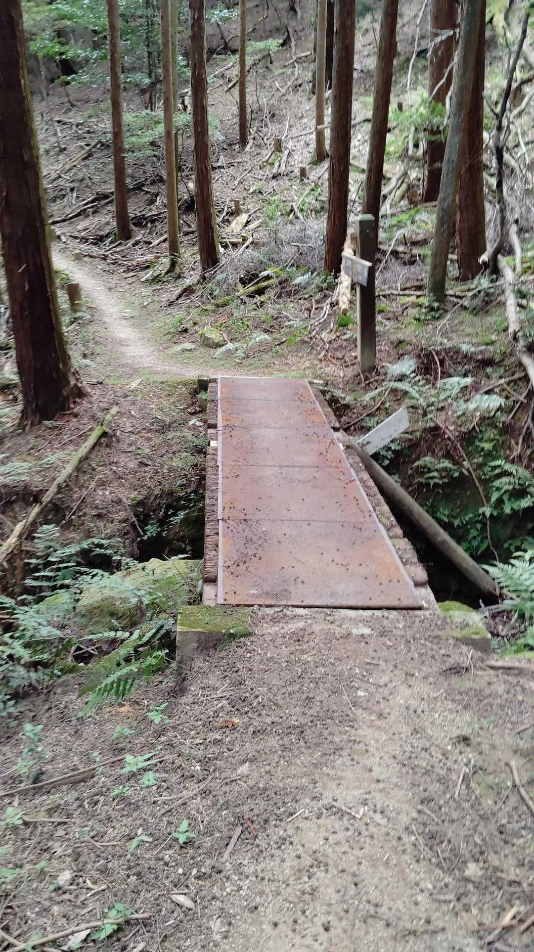 この橋のことかな