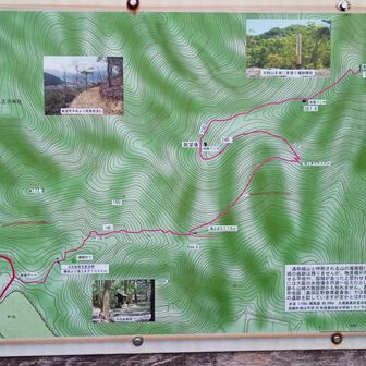 コース図です
上部の黒田城跡までは道案内が丁寧にされてますが…それ以降は…寂しい
何箇所か迷いそうになるところがありました
そうなればYAMAP地図がしっかり進むべき方向を教えてくれます‼️
本日は何度もお世話になりました