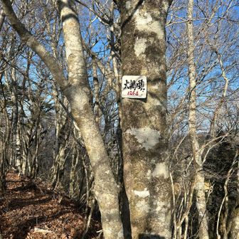 ピーク取りたいので寄りました