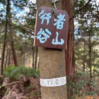 行者谷山⛰️ 370m