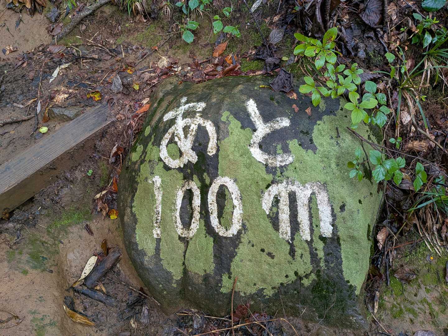 これ見ると頑張れる気がする💪