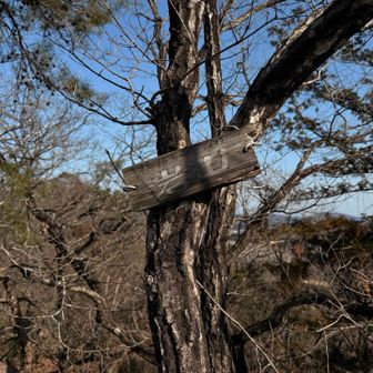 10分で戻って来ました♪

スリル💯
ありがとうございました🙇‍♀️