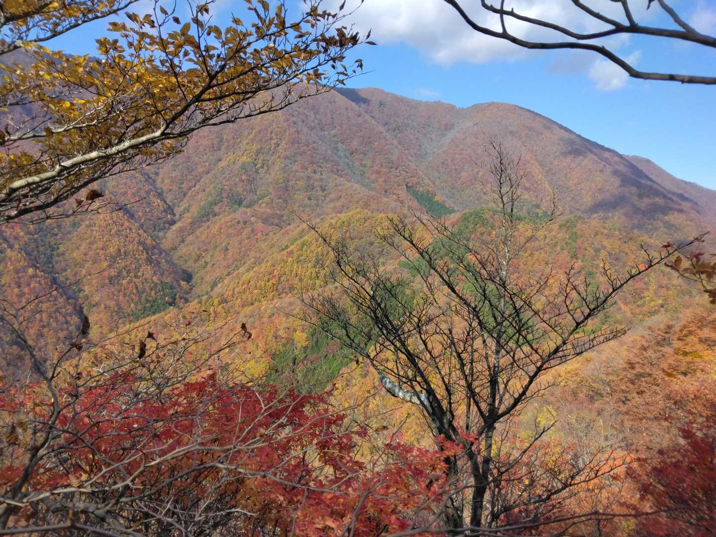 登山道脇からの景色