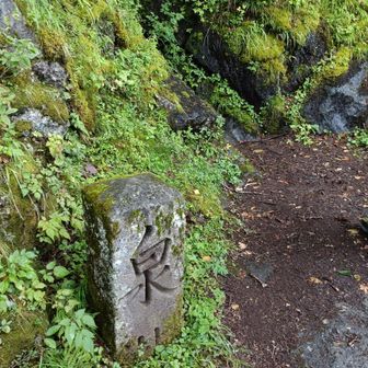 泉ケ滝の水に触れる
