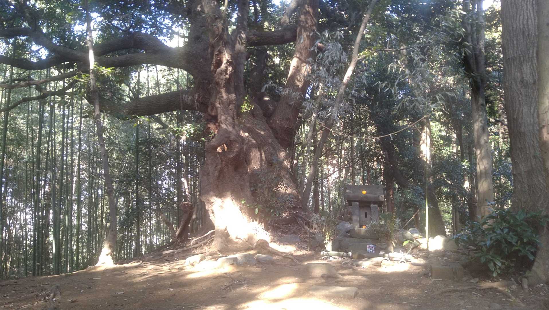 吾妻山