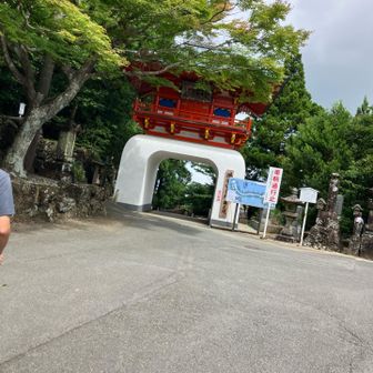 ポストは📮どこ？限界近し