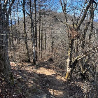 東峰は人がたくさん居たので先へ行きます