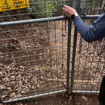 獣除けの扉あり
道脇にタヌキ？イノシシ？の溜め糞が何箇所かであった
最後の方にはツボ足のような跡
先が２つになっているとの事！カモシカかなー
会いたい〜