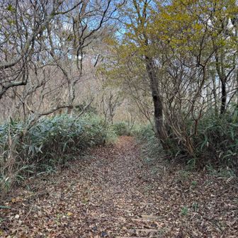 気持ちの良いお山歩