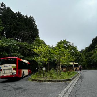 ヤビツ峠
明け方降ったようだ
降りた時は肌寒いくらい