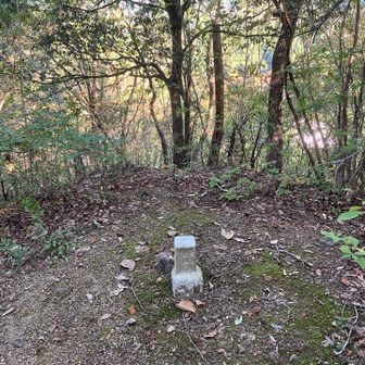 坊主山の山頂。
眺望はない……というか道に所々蜘蛛の巣が張っている。
人通りが少ない道ではよくあるが、まぁ……そういうことなんだろう。