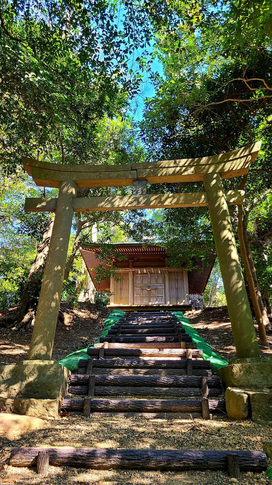久能山の写真