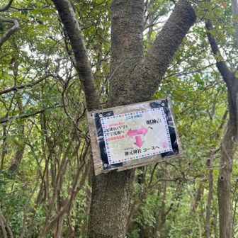 T字尾根を経由して下山です、下山時にもそれなりの岩場があるようですね、なんと一般者立ち入り禁止⁉️登山者は皆一般者ですよ‼️足元に気をつけてください。岩を巻く為の細道があるので足元注意⚠️てす。