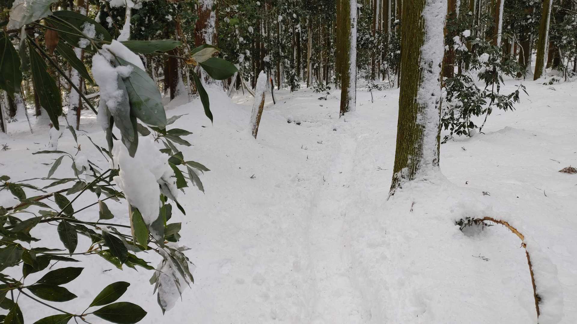 登山道入り口付近の雪は溶け始めていました。