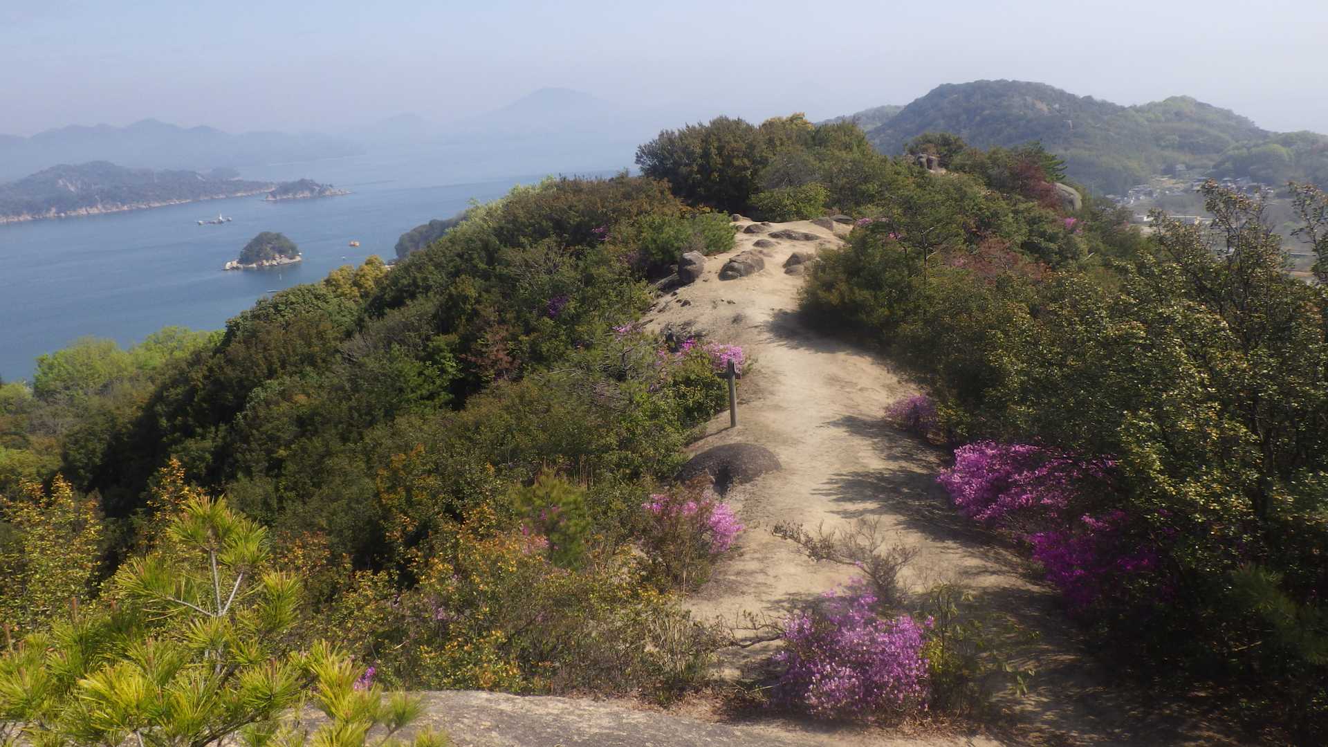 島トレッキングコース入口-高山-飛龍大神-陸軍軍人墓地-開 縦走コースの写真