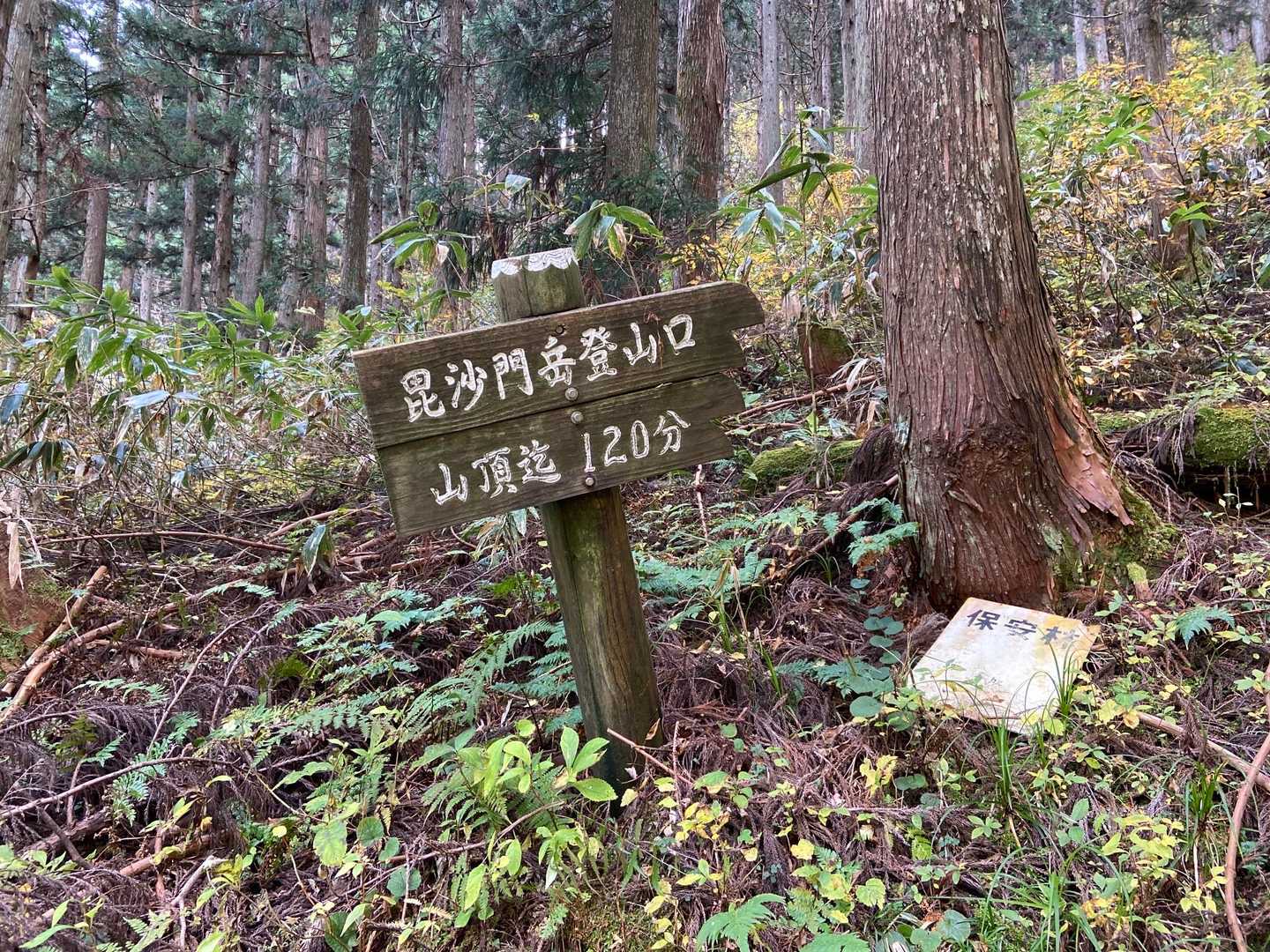 桧峠-毘沙門岳 往復コースの写真
