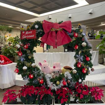 写真スポット🎄