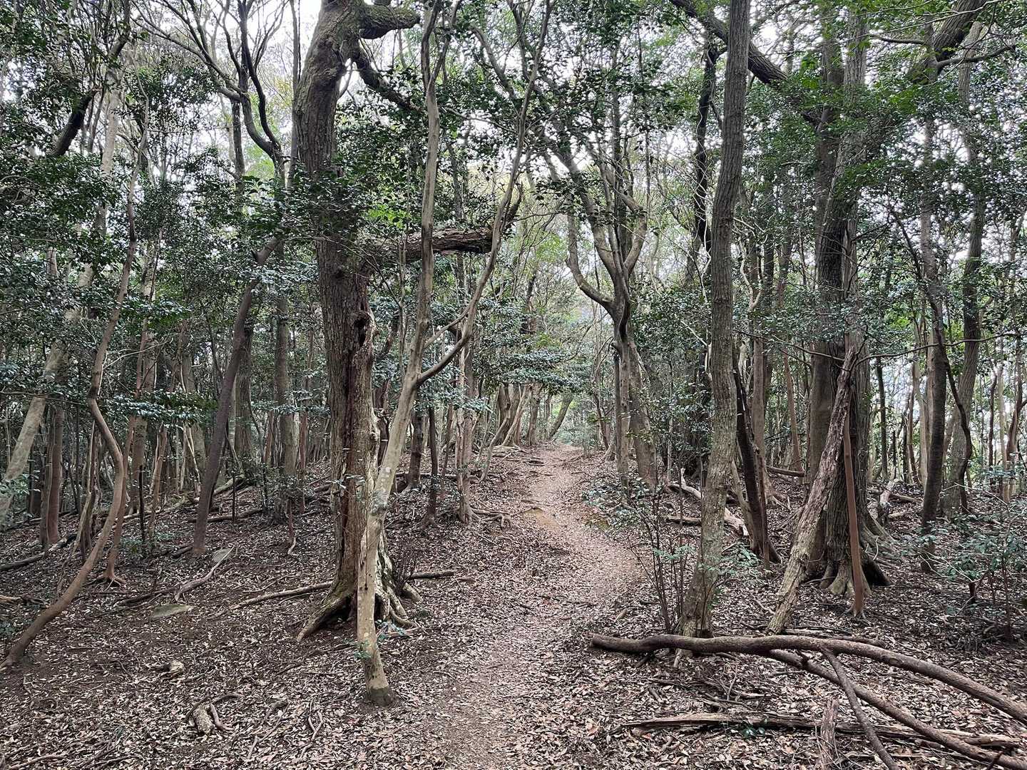 良き😆
好きな感じやー