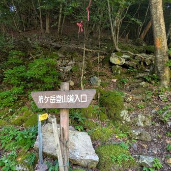 静岡側からの笊ヶ岳の登山口。凄い急登😱