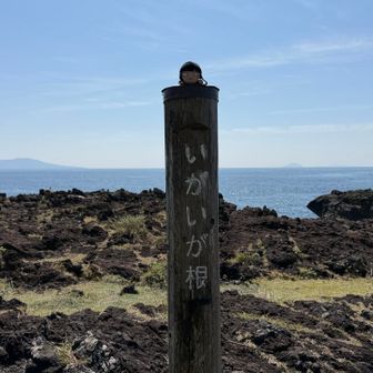 いがいが根到着♪