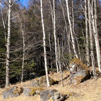 ん…なんかいる…👀