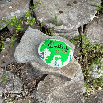 中にかわいい石ありました