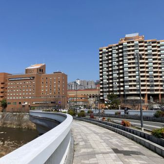 ようやくゴールが見えた💡