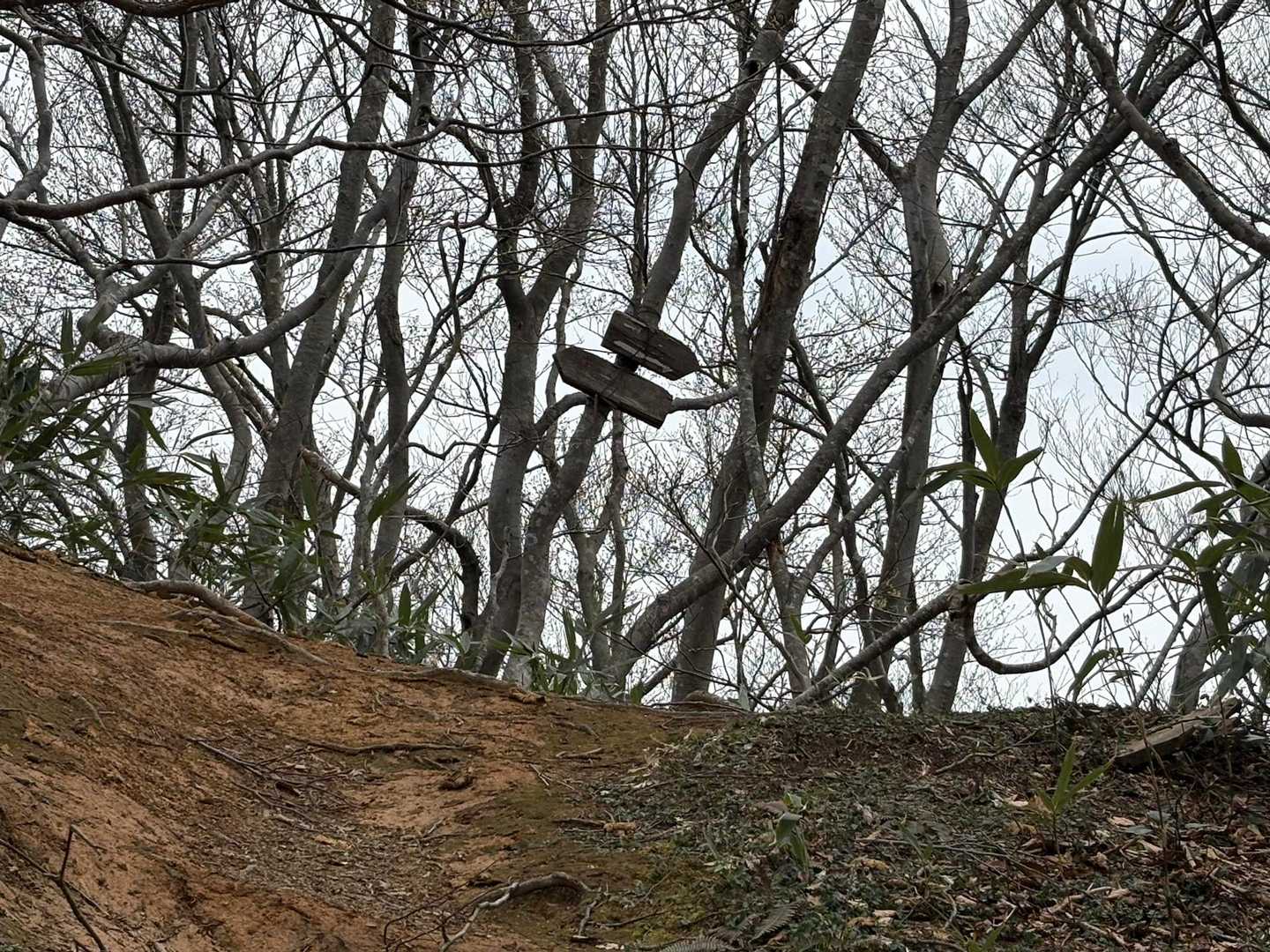 前山との分岐まで　キター(*'▽'*)