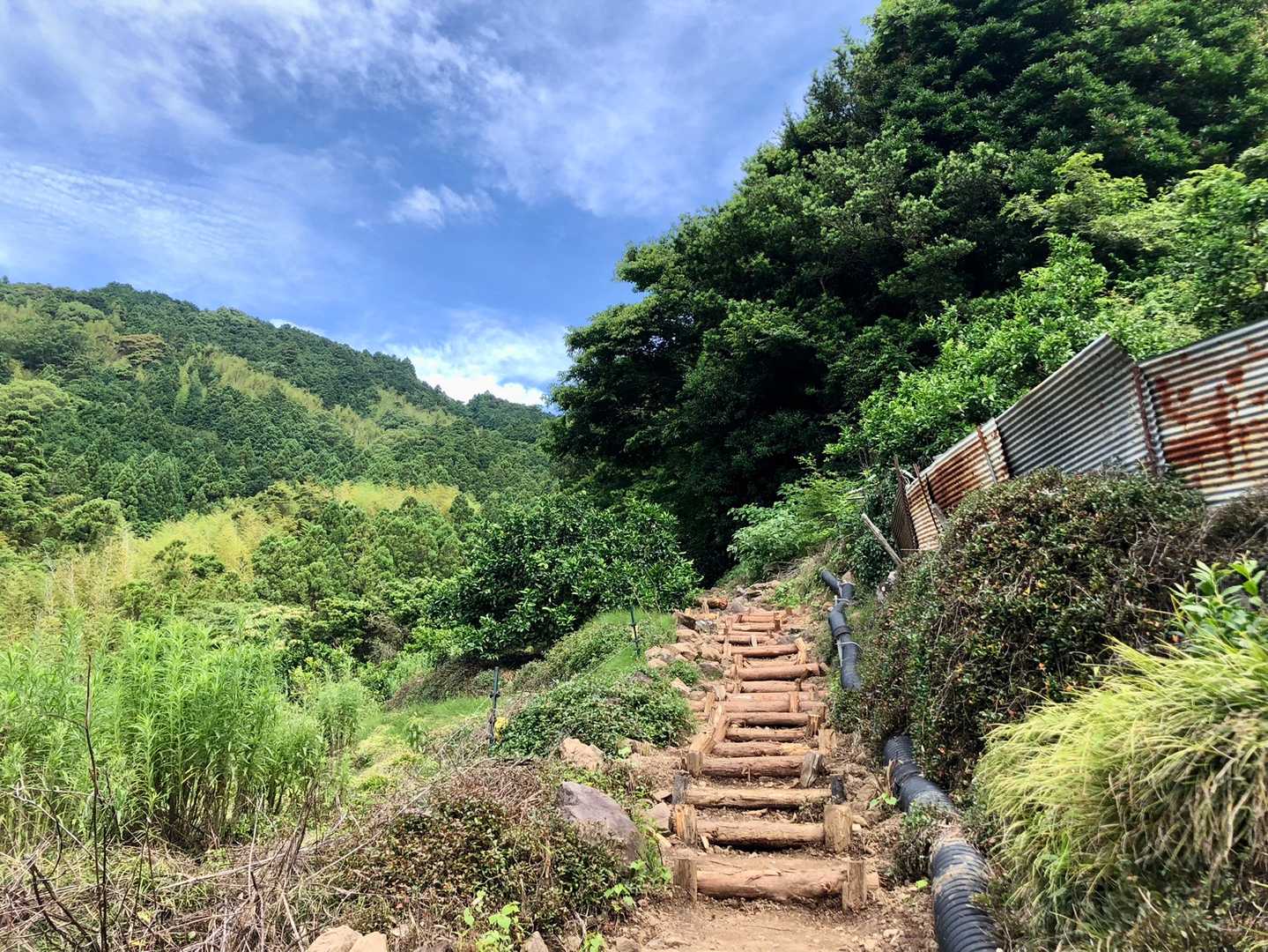 あっついけど気持ちの良い青空！
