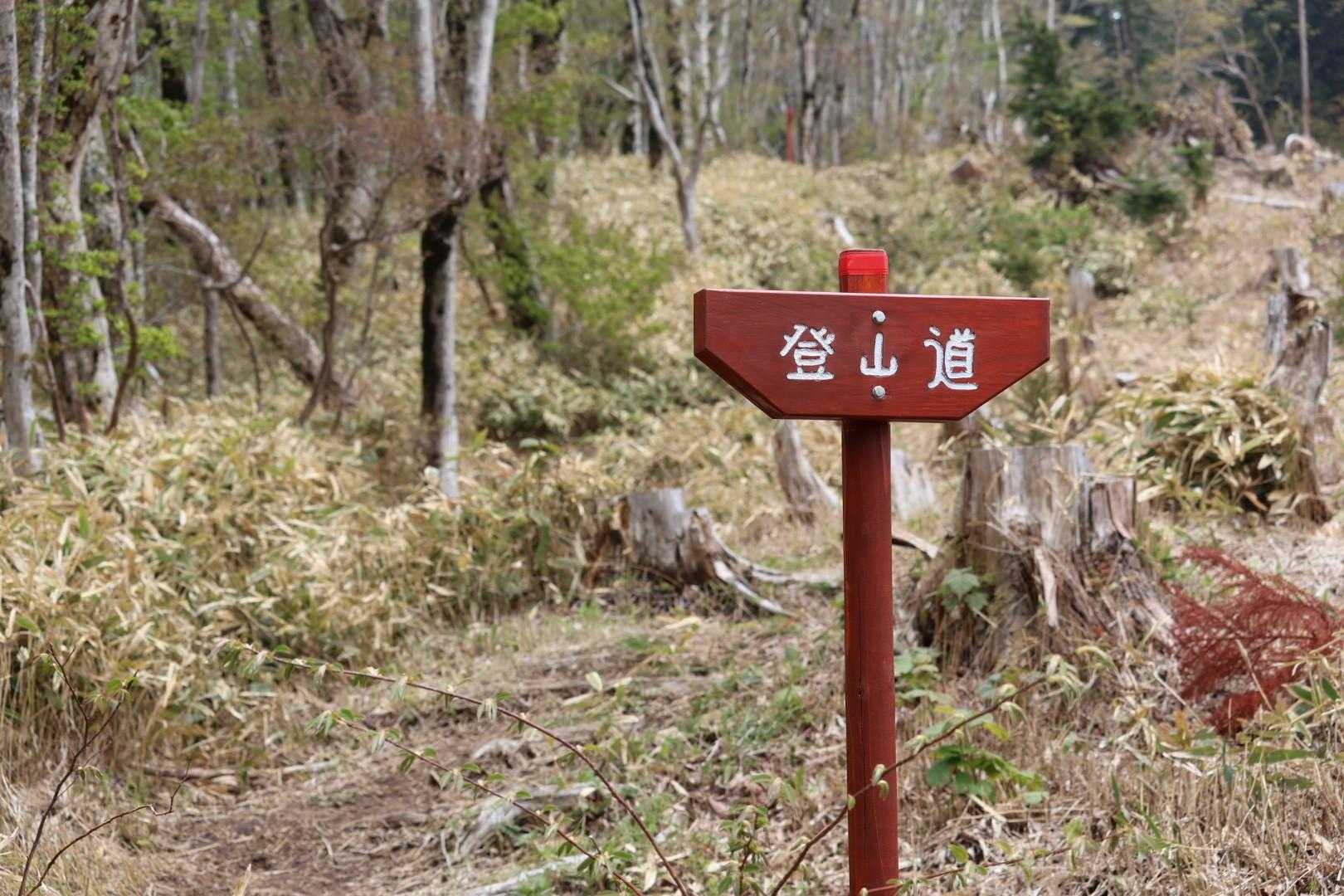 可愛い標識！