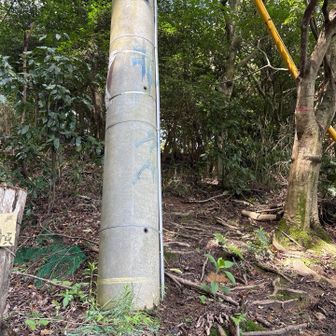 迷いましたが、高安山はこちらから