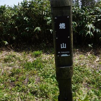ちゃんとしたのも有りますね