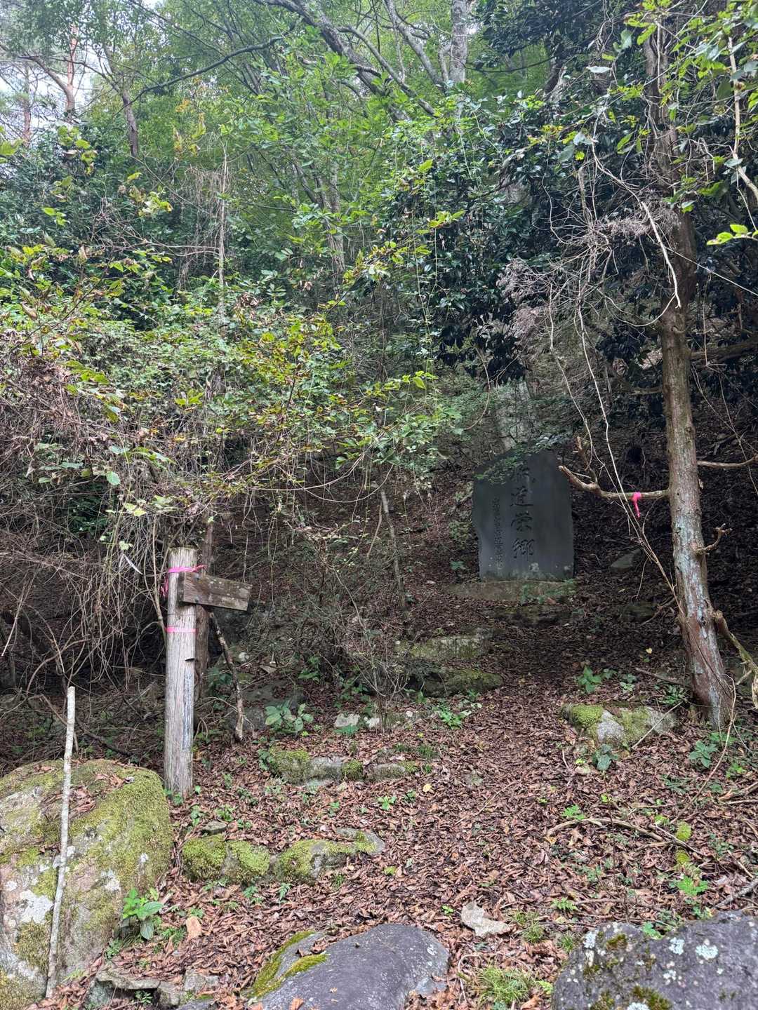 暗い感じの登山道入り口
