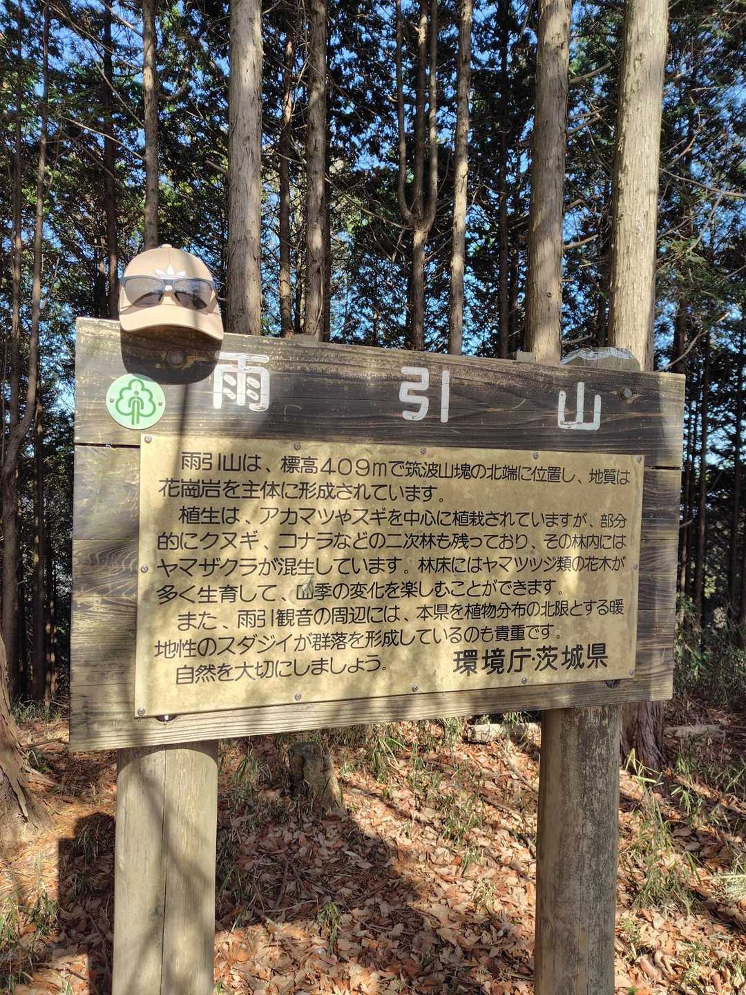 途中で膝が痛い
バファリン投入
30分後元気に戻るけど、こんな膝では心配で仕方ない
予定より早めに戻ってこれたので予定外だけど、雨引山まで歩いてきました