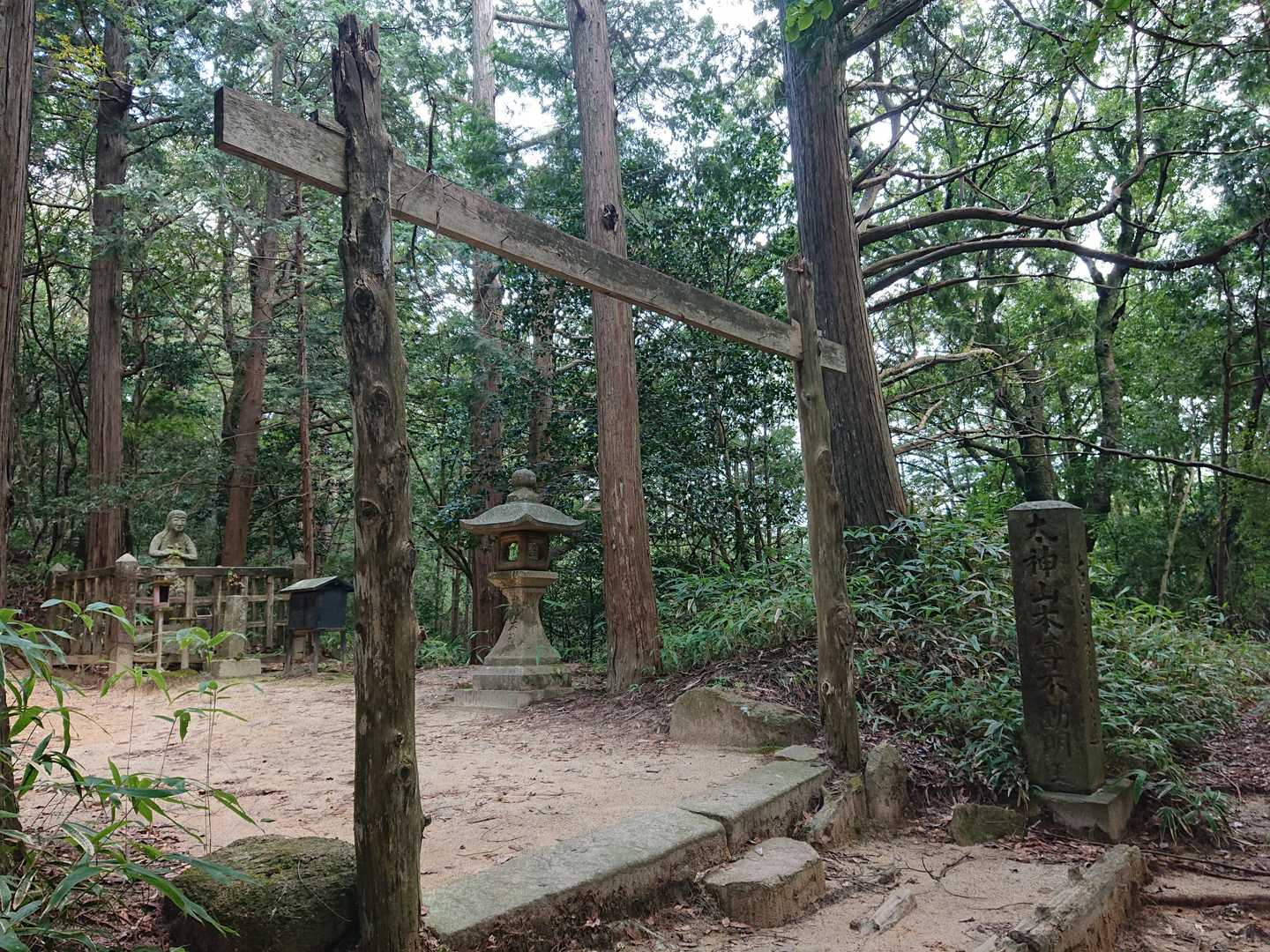 太神山-矢筈ヶ岳 周回コースの写真