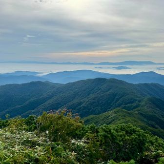 小朝日は登った方が景色が堪能できで満足感高いです😋