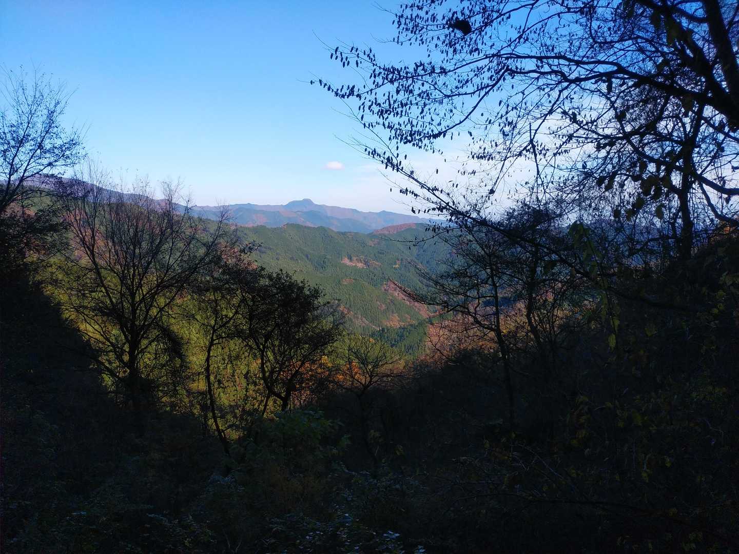 浅間尾根登山口バス停-大羽根山-数馬峠-田和峠-西原峠-槇 縦走コースの写真