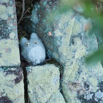 山頂のトトロさんꕀෆ¨

