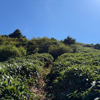 堂ヶ森を目指します