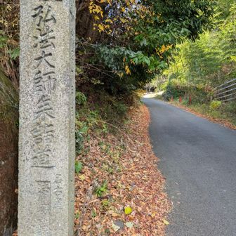 舗装路をしばらく歩く🚶‍♀️