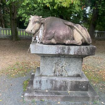 牛の石像。結構あちこちの神社で見掛ける気がする。
