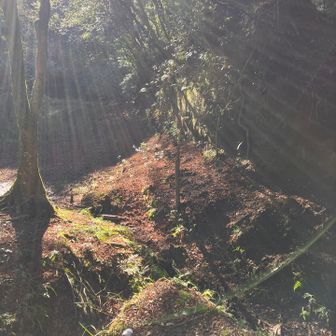 この先の古道がありそうな尾根はちょうど古道標あたりに出るので、整備できたら面白そう。尾根伝いにそのまま久留里に行ける

駅前登山🚃安房天津駅から久留里駅
https://yamap.com/activities/22338093