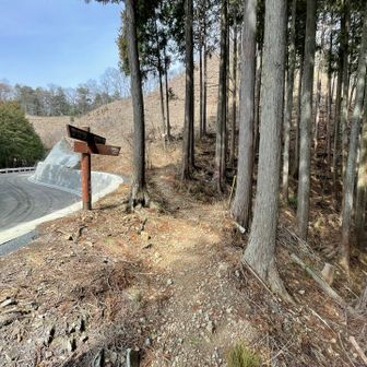 横には舗装路あるけど、あっちじゃない。
山道に入っていきます。