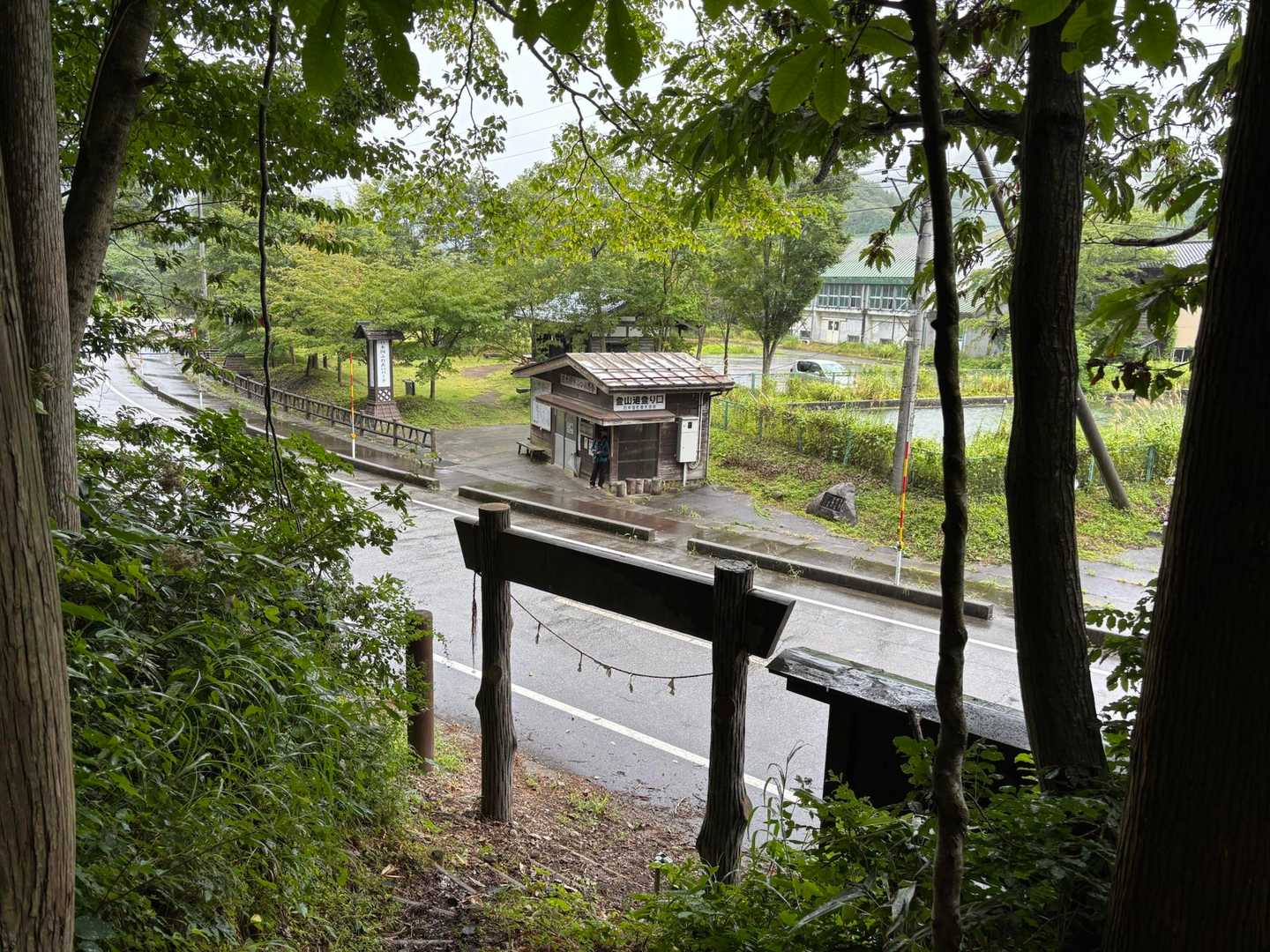 雨でも歩きやすい、いいお山でした😊☂️